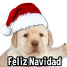 Stickers 🎅🏻🎇Navidad Perritos🎄🐶 
