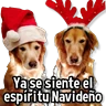 Stickers 🎅🏻🎇Navidad Perritos🎄🐶 
