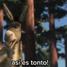 Stickers Burro 🫏 (Shrek) 
