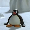 Stickers pingüino penguin 😎 
