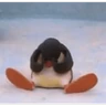 Stickers pingüino penguin 😎 
