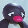 Stickers pingüino penguin 😎 
