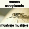 Stickers Mira, una mosca 🦟 bzz