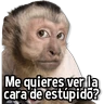 Stickers Changuitos Stickers🐒🍌 
