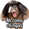 Stickers Changuitos Stickers🐒🍌 
