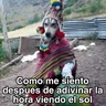 Stickers 🍃🐶🧿 Perro Chamán 🧿🐶🍃 
