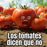 Stickers 🍅 Los tomates dicen nooooo 😡