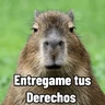 Stickers Capibaras con Frases