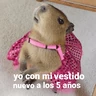 Stickers Capibara