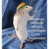 Stickers Memes para contestar 3
