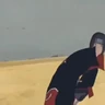 Stickers Itachi bailando 