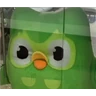 Stickers duolingo