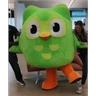 Stickers duolingo