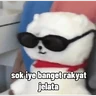 Stickers bt21 meme