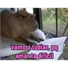 Stickers memes de carpinchos capibaras