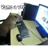 Stickers memes de carpinchos capibaras