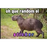 Stickers memes de carpinchos capibaras