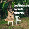 Stickers 🌴 DtMF frases 🪑 Bad Bunny 🐰