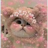 Stickers Gatitos de amor 😺💘💞