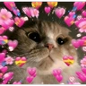 Stickers Gatitos de amor 😺💘💞