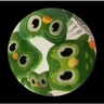 Stickers Memes Duolingo Br