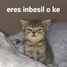 Stickers Michis Para Contestar 🐈‍⬛