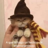 Stickers Michis Para Contestar 🐈‍⬛