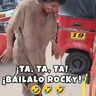 Stickers 🔥🎶Báilalo Rocky/TikTok🎶🔥