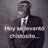 Stickers Memes Pal Grupo🤡