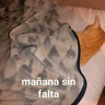 Stickers A mimir ✨