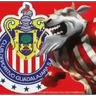 Stickers CHIVAS GUADALAJARA 