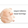 Stickers Perdonenmen a todos no acepto🐖