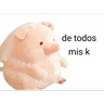Stickers Perdonenmen a todos no acepto🐖