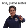 Stickers Chivas Femenil