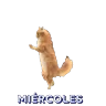 Stickers Miércoles ✨