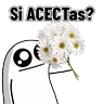 Stickers Flores - Flork 🌹✨