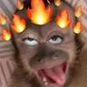 Stickers 🐒🙊🌴 MONOS 🌴🙊🐒
