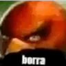 Stickers 🐥los pollitos dicen🗣️