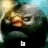 Stickers 🐥los pollitos dicen🗣️