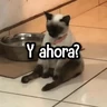Stickers Reacciones MIX #➎ 👌🏻