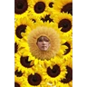 Stickers bts flores amarillas🌻🌼