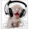 Stickers Gatos lol - tiktok 😹
