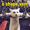 Stickers memes de academia