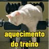 Stickers memes de academia