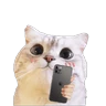 Stickers Michis random🐈🐈‍⬛