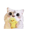 Stickers Michis random🐈🐈‍⬛