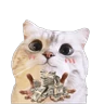 Stickers Michis random🐈🐈‍⬛