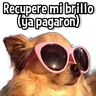 Stickers Memes de Animales🌴🍃