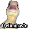 Stickers Memes de Animales🌴🍃