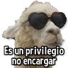 Stickers Memes de Animales🌴🍃